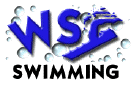 wsy.GIF (5951 bytes)